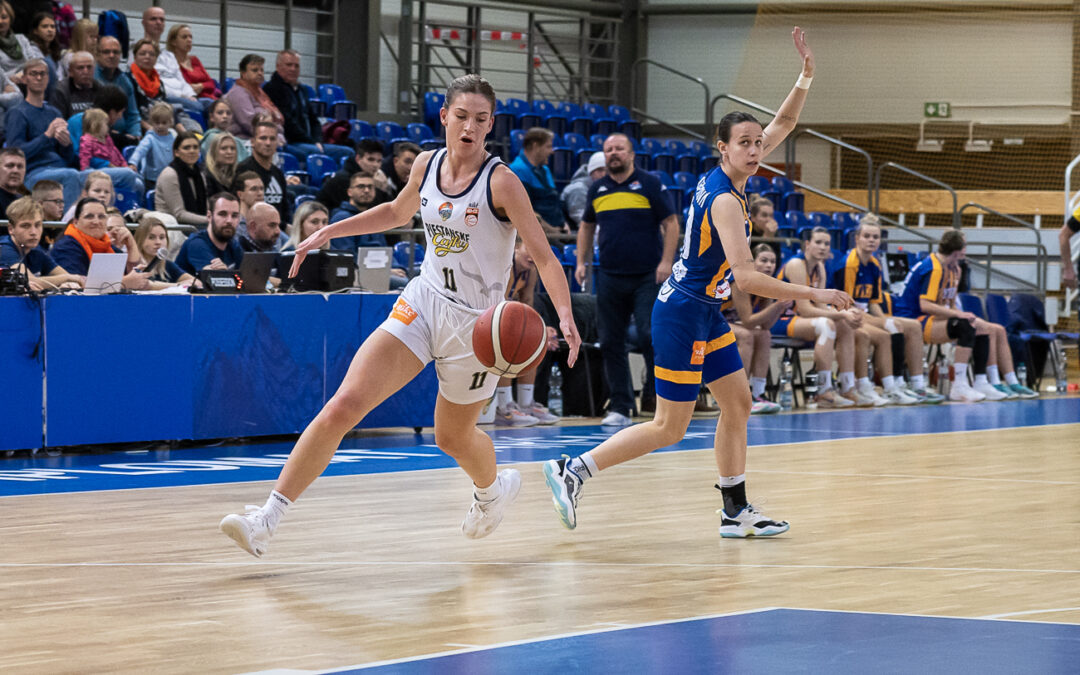 Piešťanské Čajky vs. Young Angels Košice