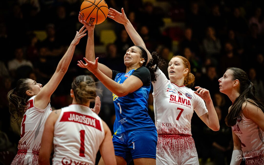 Dobre rozohraný duel nedotiahli Čajky do víťazného konca