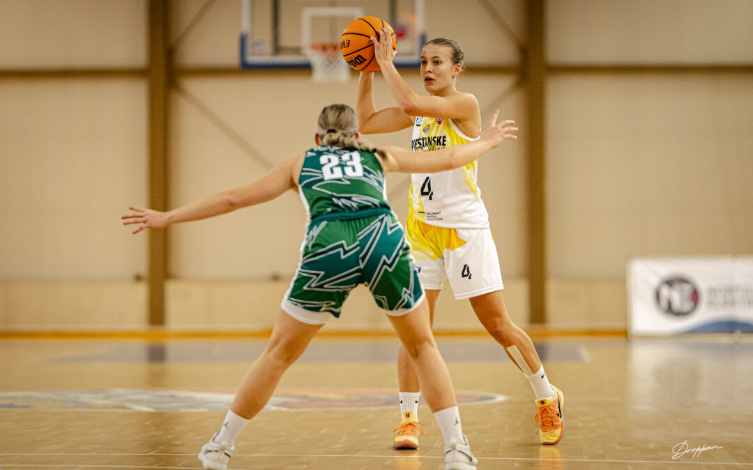 Čajky v stredu cestujú do Šamorína s cieľom natiahnuť víťaznú šnúru