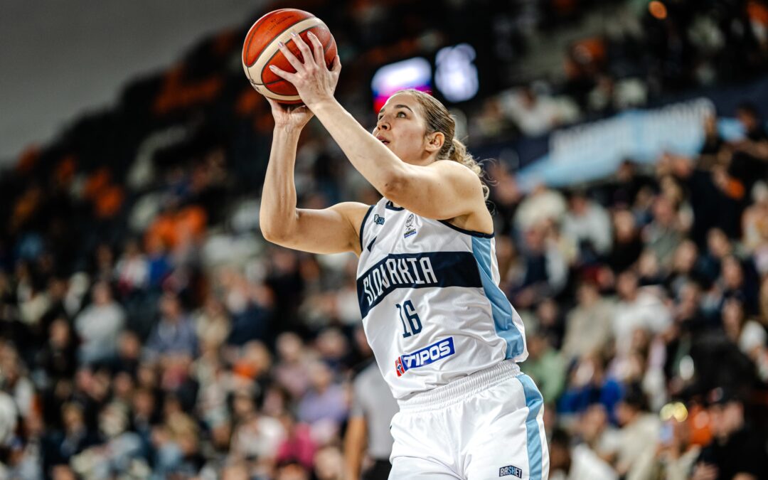 Čajky zažili počas víkendu víťazné emócie v reprezentácii