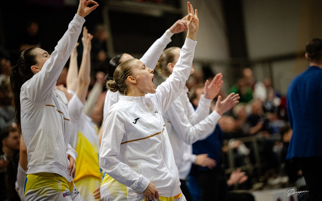 Čajky postúpili najkratšou možnou cestou do finále!