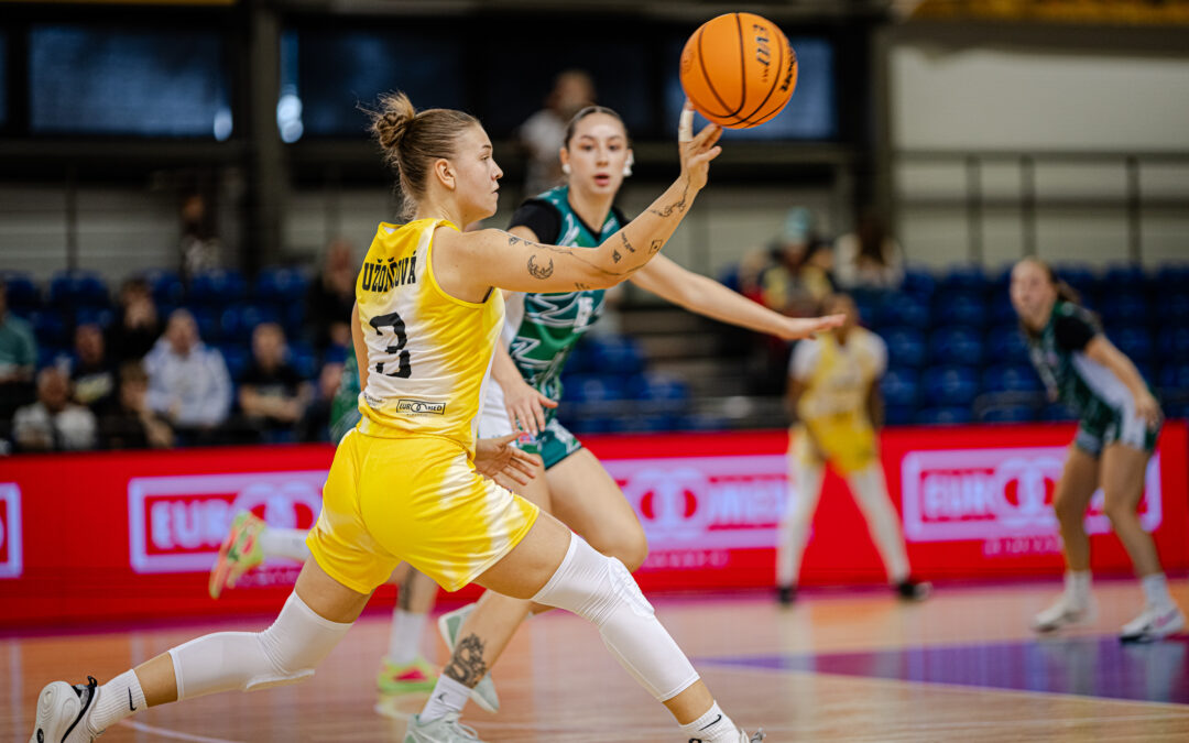 Extraligový program Čajok pokračuje považským derby v Trenčíne